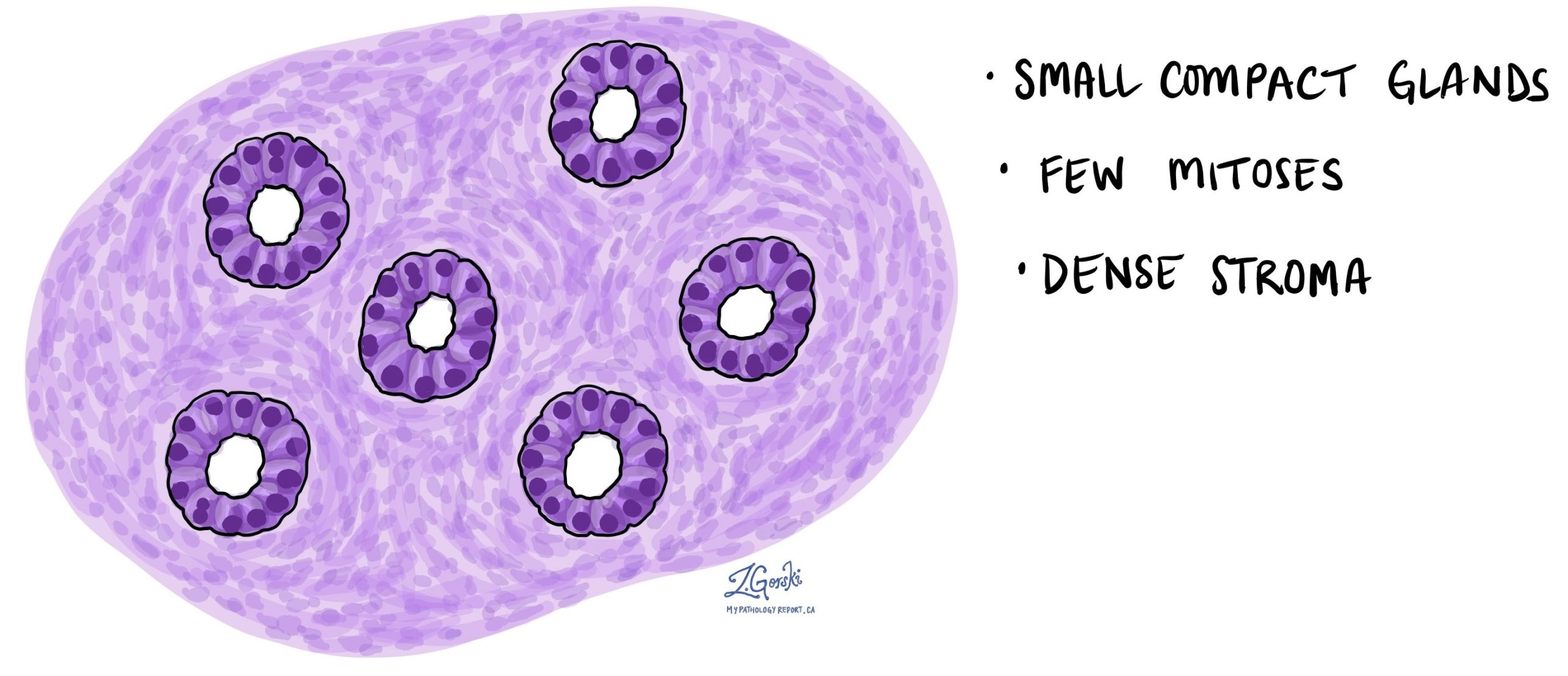 Patologias endometriales