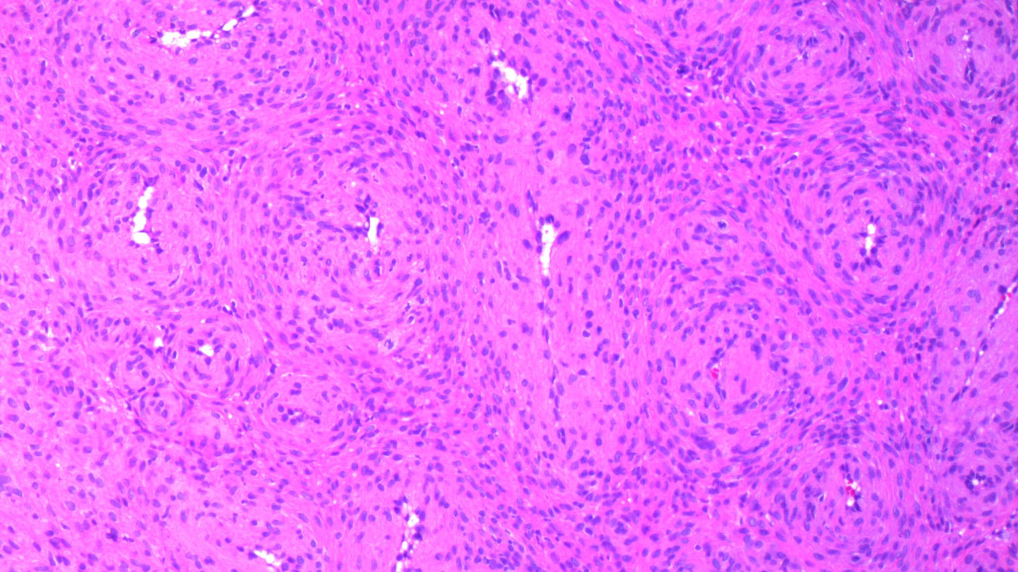 テストはどのように実施されますか?