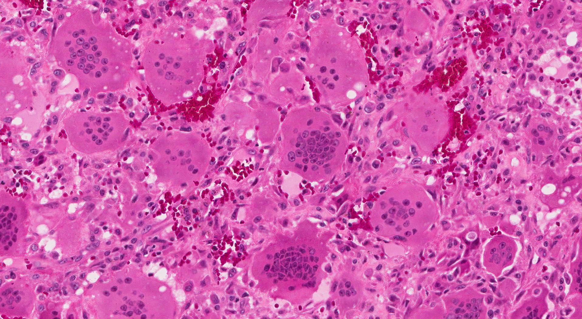 医師の診察を受ける時期