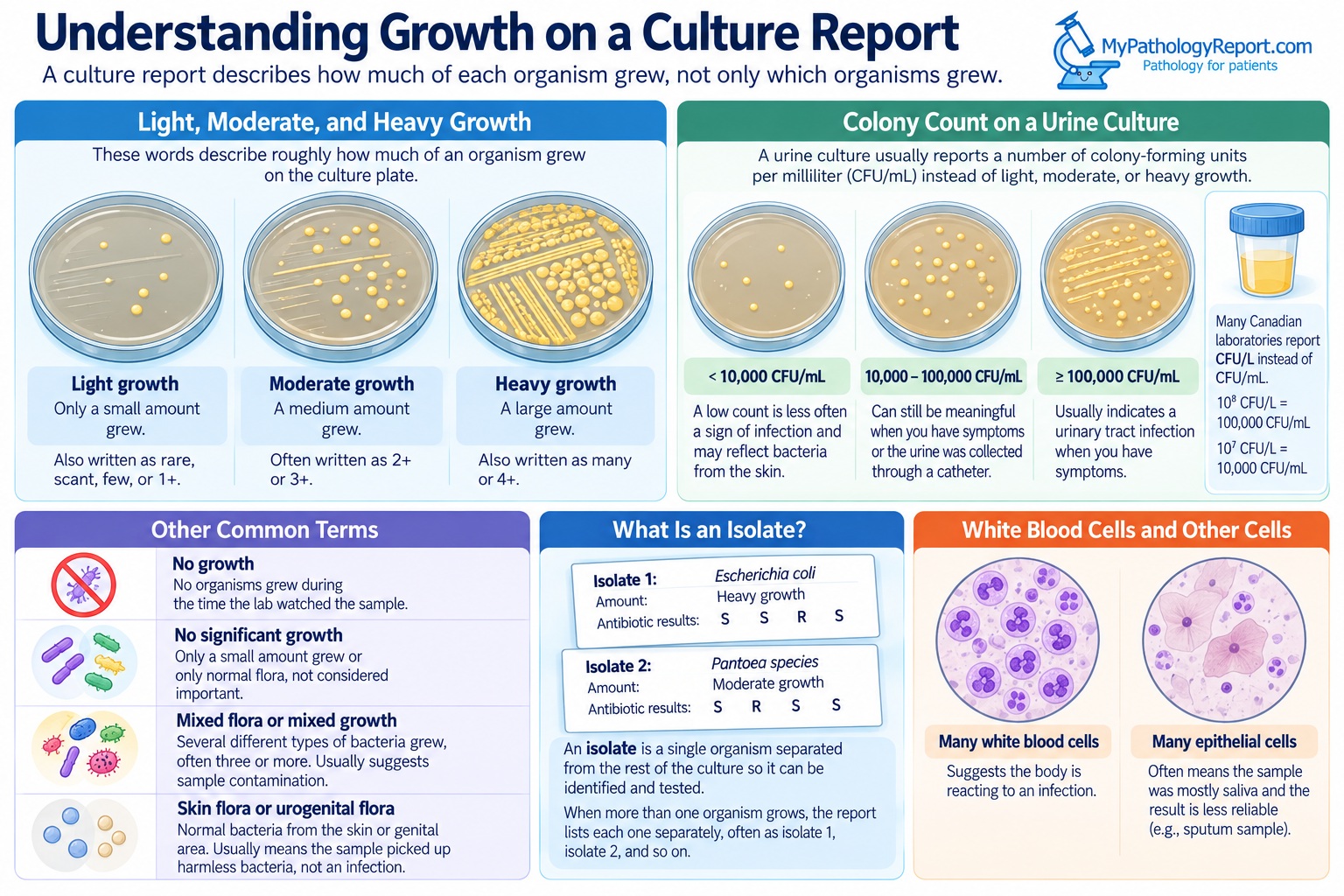 Understanding Culture Report Growth